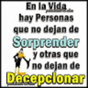 Meet your Posher, Judith